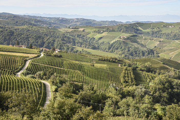 Panorama di Langhe e Roero, foto di Marco Badiani