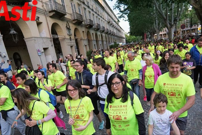 Merfephoto Merfephoto