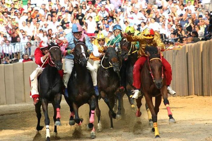 Palio di Asti e maltrattamento animali: assolti anche in Appello gli imputati Palio di Asti e maltrattamento animali: assolti anche in Appello gli imputati