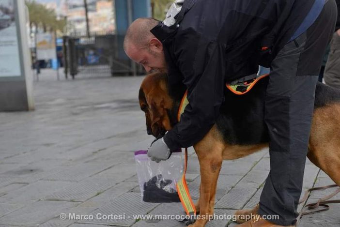 Nuovo workshop piemontese con cani molecolari e istruttori internazionali Nuovo workshop piemontese con cani molecolari e istruttori internazionali