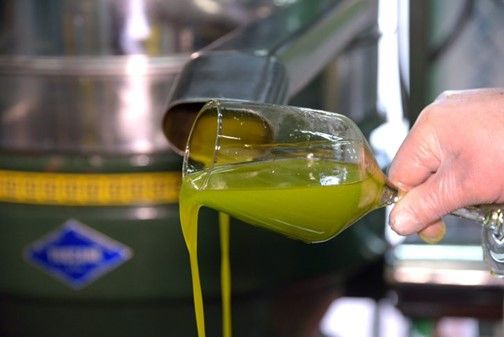 Slow Food ha presentato “La Guida agli Extravergini” 2022  per far conoscere oli, uomini e territori. BioDea un workshop seguitissimo