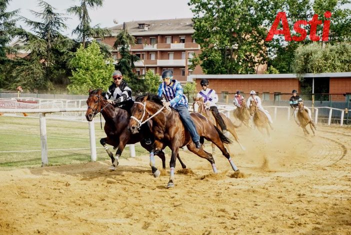 Foto di Merfephoto Foto di Merfephoto