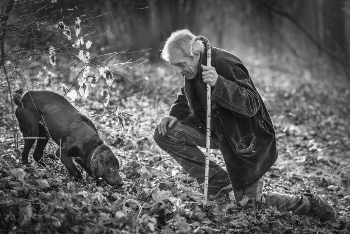 Ph Tino Gerbaldo