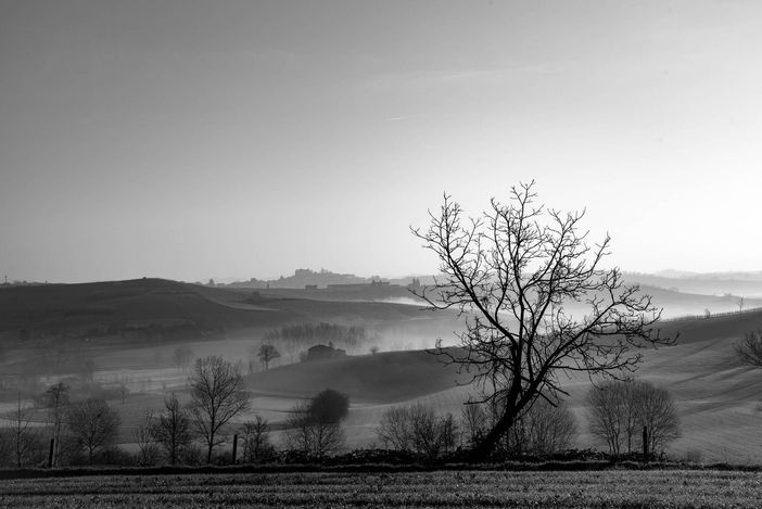 Foto di Maurizio Agostinetto