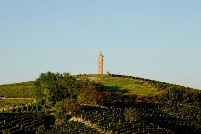 Le torre dei Contini a Canelli