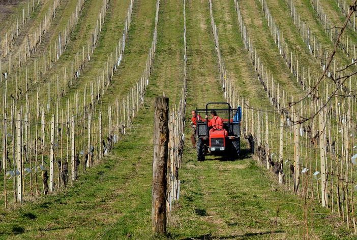 Agricoltura: dalla Regione 1,8 milioni di euro in più a copertura del bando 2022 per la conversione al biologico