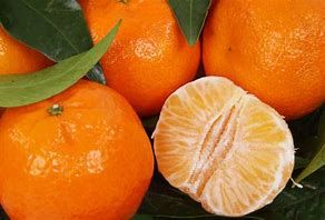 Asti Agricoltura in prima linea per la Giornata internazionale contro la violenza sulle donne Asti Agricoltura in prima linea per la Giornata internazionale contro la violenza sulle donne