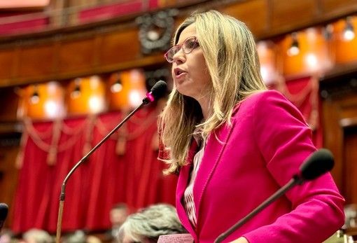 Spreco alimentare, Gadda: 'Risorse a Terzo settore per recuperare più cibo' Spreco alimentare, Gadda: 'Risorse a Terzo settore per recuperare più cibo'