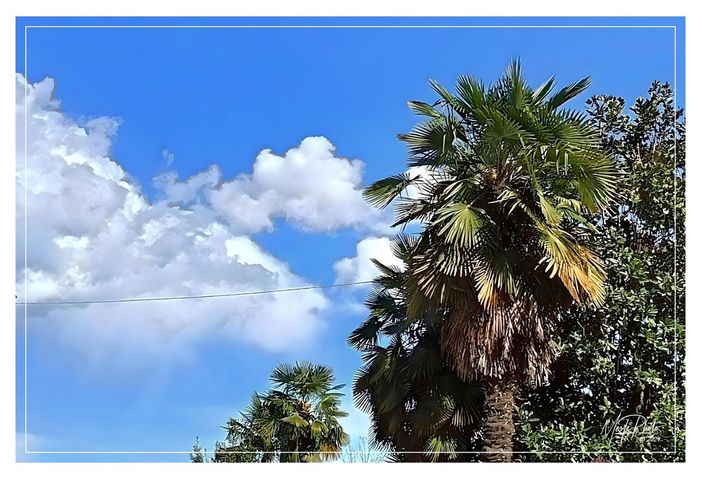 Ph Merfephoto