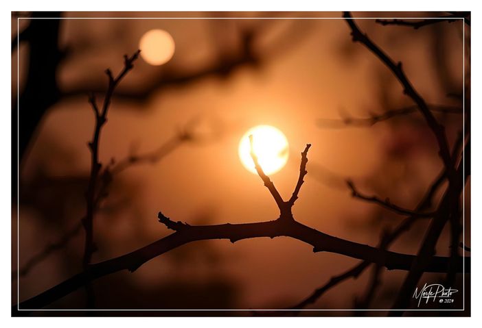 Ph Merfephoto