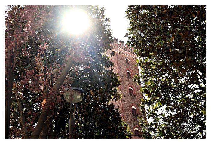 Ph Efrem Zanchettin - Merfephoto Ph Efrem Zanchettin - Merfephoto