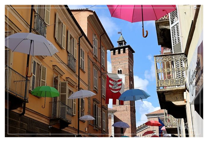 Ph Efrem Zanchettin - Merfephoto