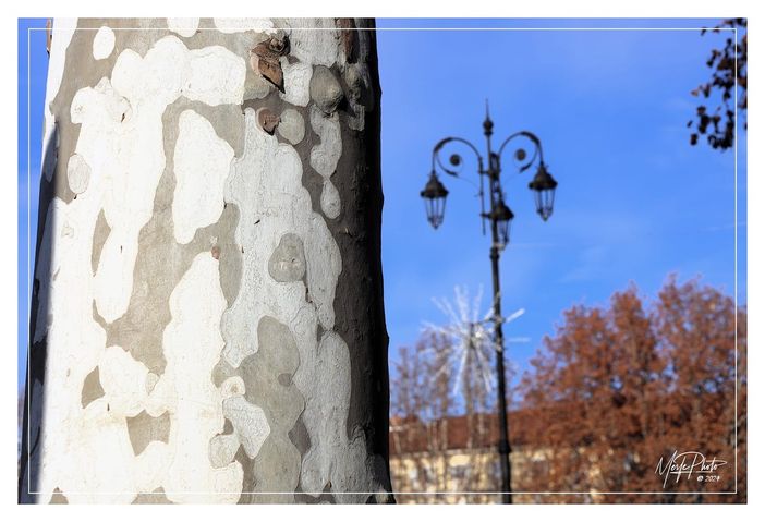 Ph Merfephoto Ph Merfephoto