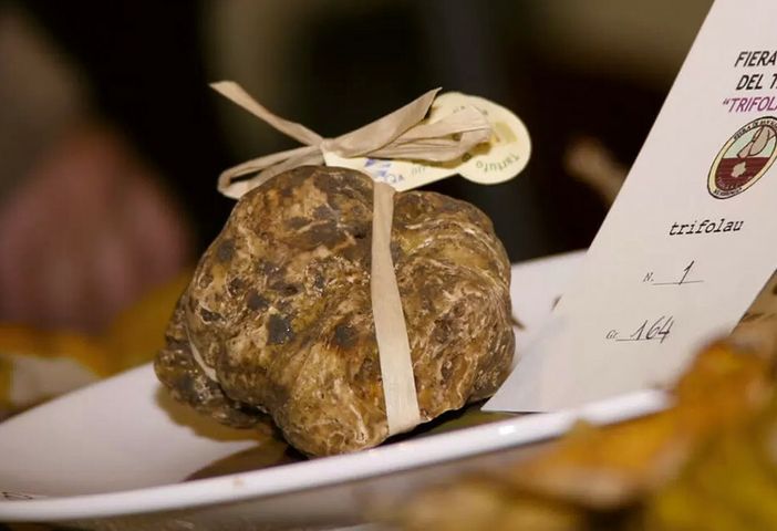 Fiera internazionale del Tartufo Bianco di Murisengo Monferrato Fiera internazionale del Tartufo Bianco di Murisengo Monferrato