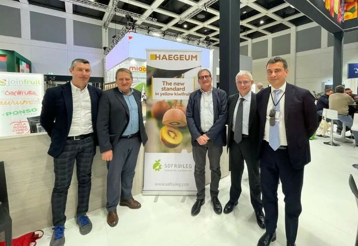 Frutticoltura piemontese, nuove opportunità per i produttori:  Orbita presenta il kiwi giallo Haegeum e le nuove pesche resistenti alla sharka