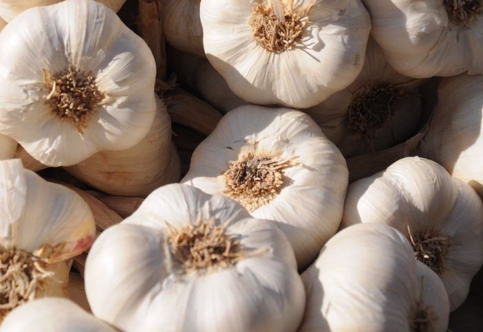 Vacanze Astigiane per l’evento più profumato d’autunno Vacanze Astigiane per l’evento più profumato d’autunno