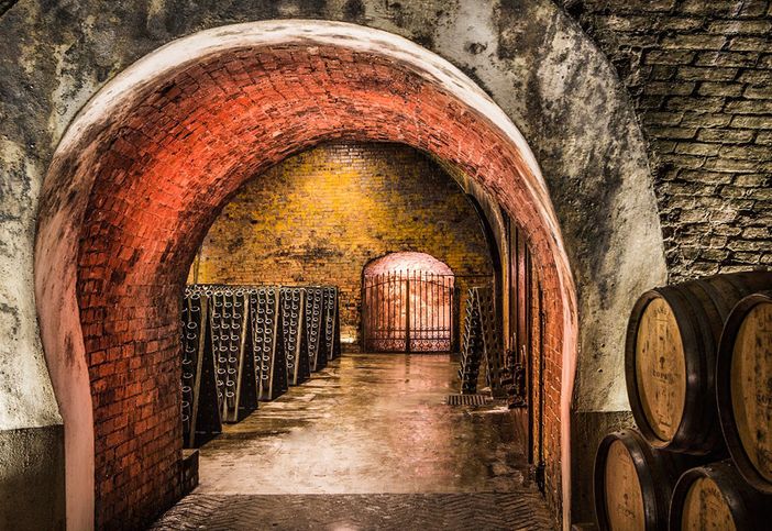 Uno scorcio delle splendide cantine Coppo (immagine tratta dal sito dell'azienda)