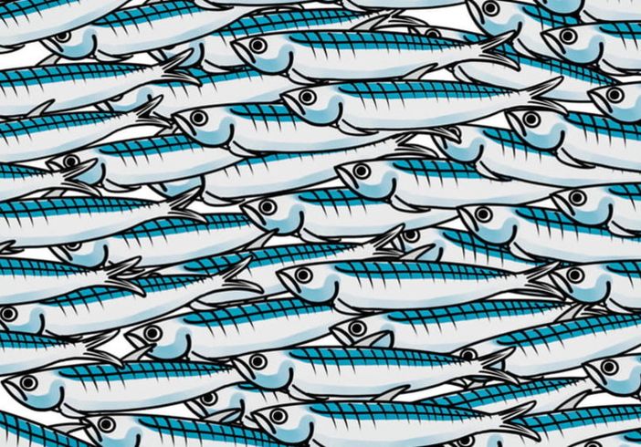 Viviamo in un posto bellissimo: le Sardine di Alfieri Viviamo in un posto bellissimo: le Sardine di Alfieri