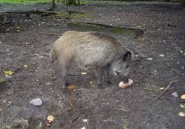 Immagine d'archivio generica, non correlata allo specifico episodio