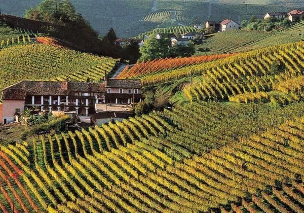 GAL Basso Monferrato Astigiano: chiarezza e responsabilità nella nomina dei nuovi rappresentanti privati