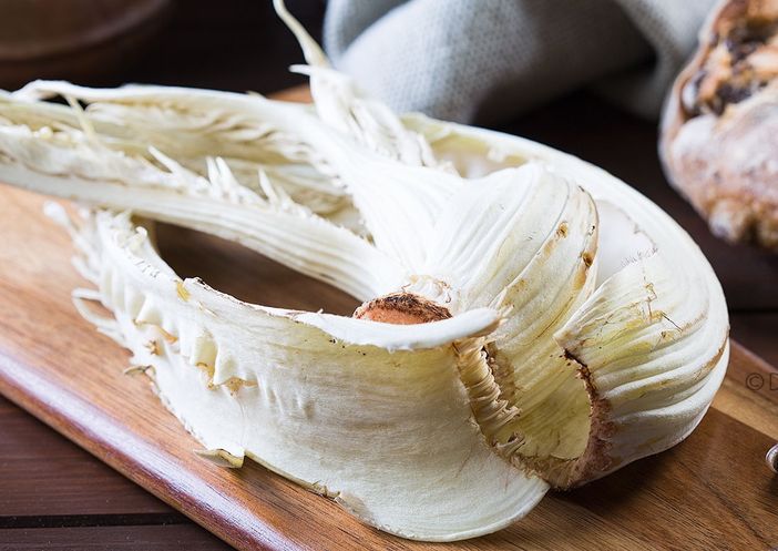 Cardo Gobbo di Nizza Monferrato, prelibatezza unica e Presidio Slow Food Cardo Gobbo di Nizza Monferrato, prelibatezza unica e Presidio Slow Food