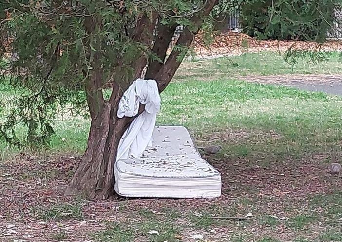 Al parco Griffa un materasso e un lenzuolo sotto a un albero, vicino ai giochi per i bambini