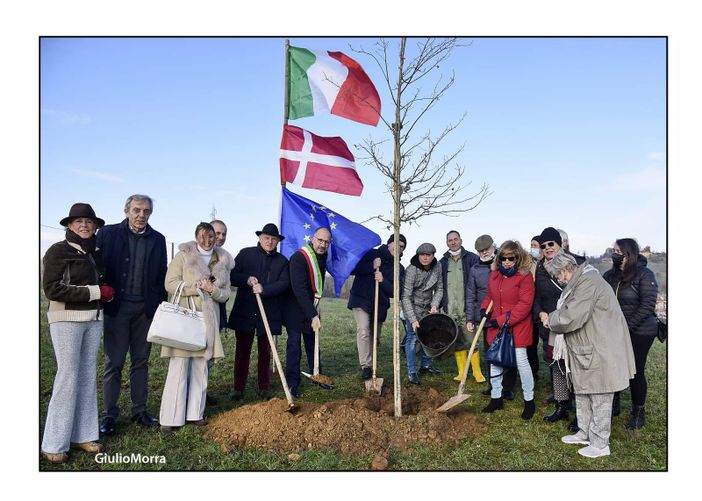 La prima quercia al Bosco degli astigiani