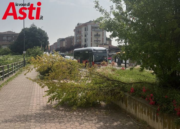 Immagini che documentano lo stato di incuria nell'area