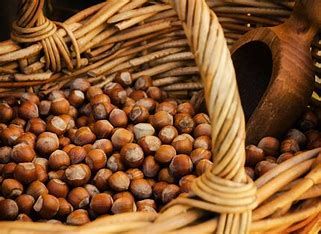 Prezzi delle nocciole: la Camera di Commercio Alessandria - Asti ha aggiornato il listino