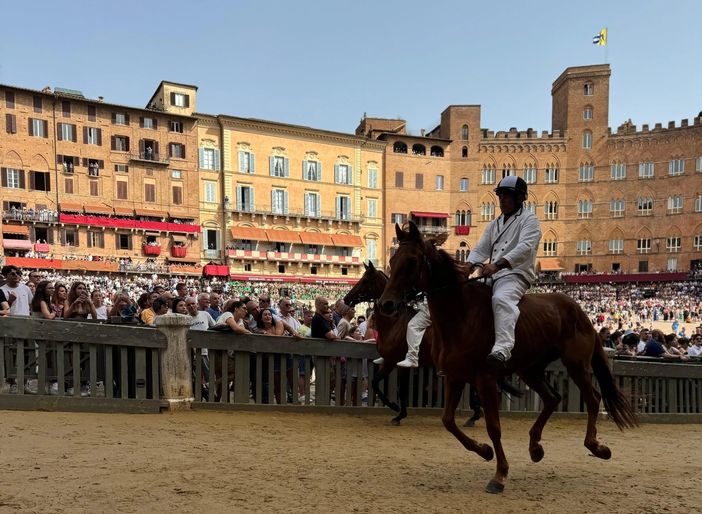 La tratta del Palio (Ph Comune di Siena) La tratta del Palio (Ph Comune di Siena)
