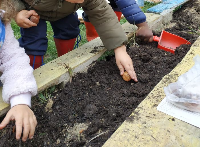Ad Asti i nidi di infanzia festeggiano l'albero amico e alleato dell'uomo