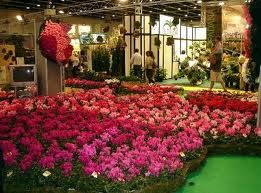 Struttura florivivaistica