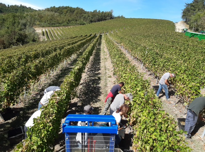 Il Lions Club Nizza Canelli, a Loazzolo, festeggia, con una tavola rotonda, i 70 anni di Cantina Pianbello