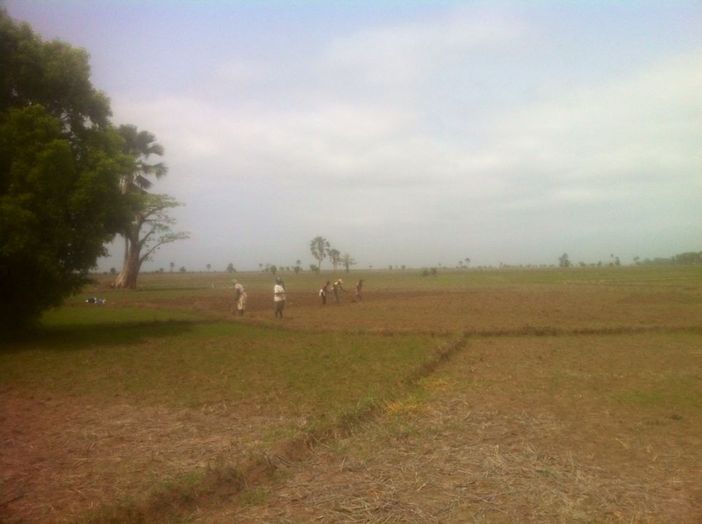 Casamance 2019 Casamance 2019