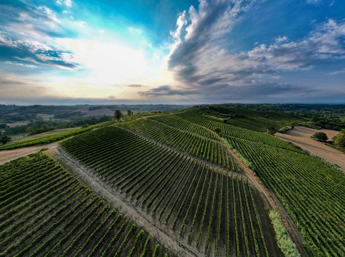 Le colline del Ruché di Castagnole Monferrato Le colline del Ruché di Castagnole Monferrato