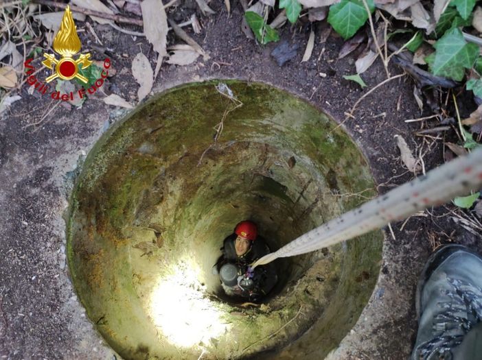 Montechiaro, cane caduto in un pozzo profondo 20 metri salvato dai vigili del fuoco Montechiaro, cane caduto in un pozzo profondo 20 metri salvato dai vigili del fuoco
