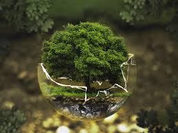 Giustizia sociale ed ambientale, se ne parla ad Asti il 24 gennaio Giustizia sociale ed ambientale, se ne parla ad Asti il 24 gennaio