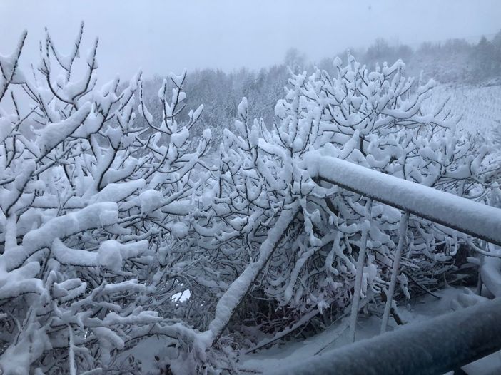 Sessame (Foto Angela canale Telegram Dati Meteo Asti) Sessame (Foto Angela canale Telegram Dati Meteo Asti)