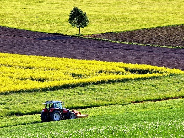 La Commissione propone una revisione mirata della politica agricola comune per sostenere gli agricoltori dell'UE