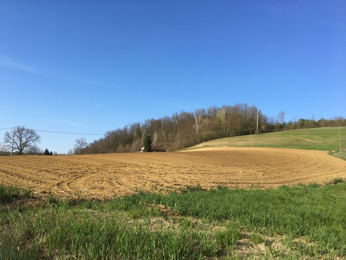 Il campo di Cascina Melona