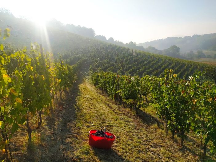 Le Terre di Aleramo si uniscono per un percorso enogastronomico d'eccellenza. Stasera la presentazione a Calliano Le Terre di Aleramo si uniscono per un percorso enogastronomico d'eccellenza. Stasera la presentazione a Calliano