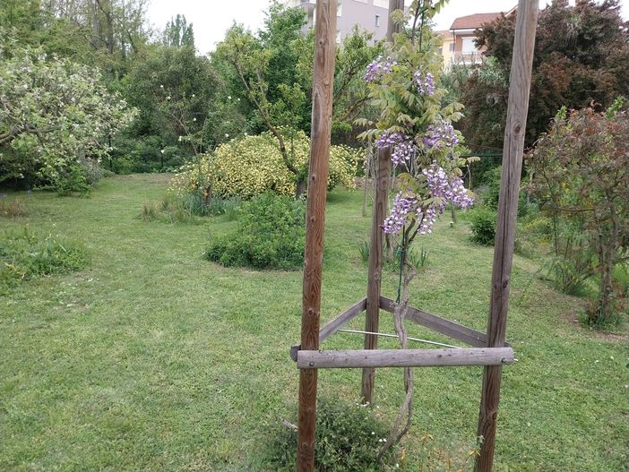 Con il FAI alla scoperta del &quot;Giardino segreto di Arianna&quot;, nelle domeniche 12 e 19 maggio