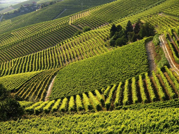 GAL Basso Monferrato Astigiano: al via la nuova programmazione 2023-2027