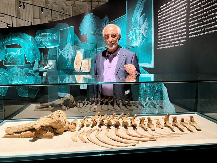 Il sindaco Marchese e il delfino a Palazzo Madama Il sindaco Marchese e il delfino a Palazzo Madama