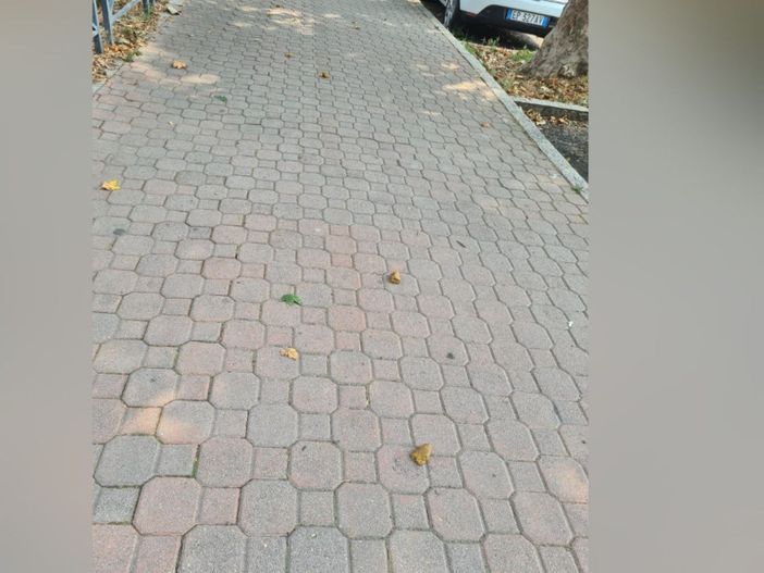 La foto inviataci dalla nostra lettrice con il marciapiede imbrattato di deiezioni canine