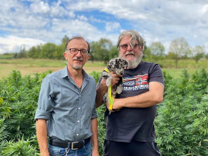 Canapa, sul ddl sicurezza il punto con i produttori astigiani Cesare Quaglia e Claudio Accomazzo Canapa, sul ddl sicurezza il punto con i produttori astigiani Cesare Quaglia e Claudio Accomazzo