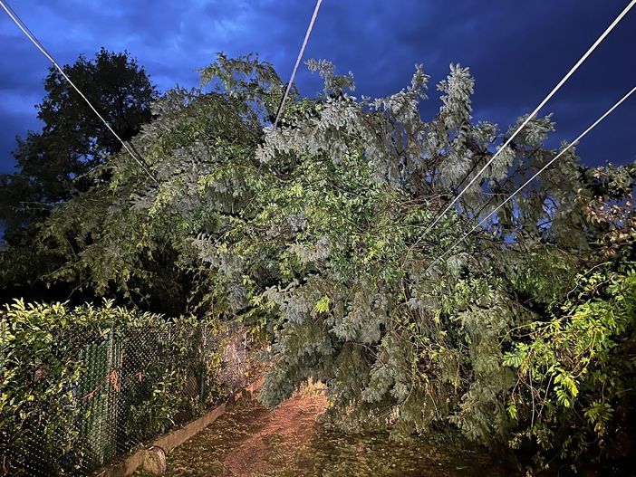 Rami prontamente rimossi da vigili del fuoco e Protezione Civile Rami prontamente rimossi da vigili del fuoco e Protezione Civile