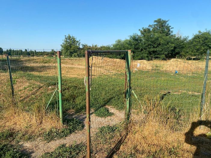 Un'immagine del parco