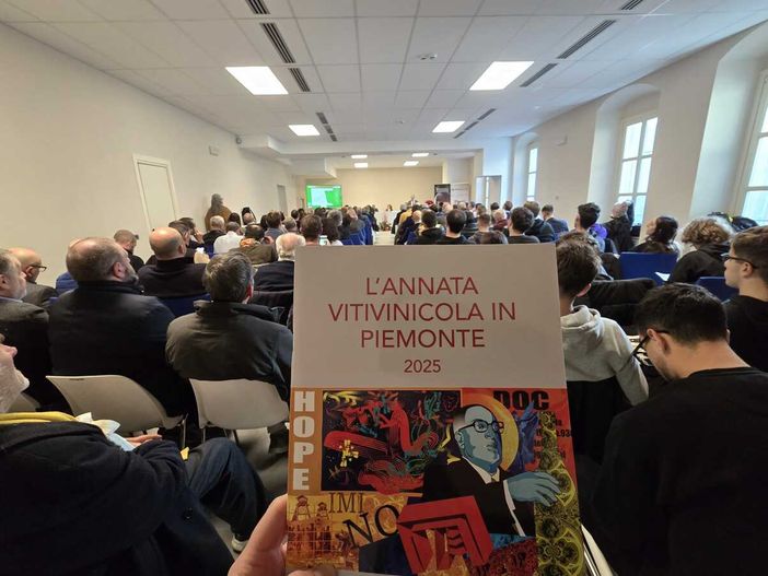 Vendemmia da otto stelle per il Piemonte 2025, ma calano gli ettari di vigneto Vendemmia da otto stelle per il Piemonte 2025, ma calano gli ettari di vigneto
