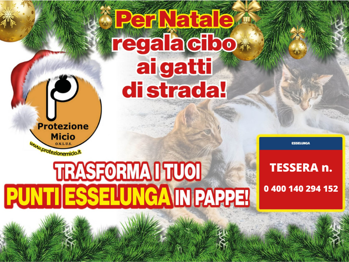 A Natale si possono aiutare i mici di nessuno con la tessera Esselunga A Natale si possono aiutare i mici di nessuno con la tessera Esselunga